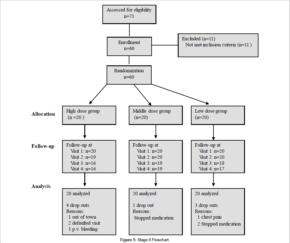 community-medicine-health-education-Stage-Flowchart