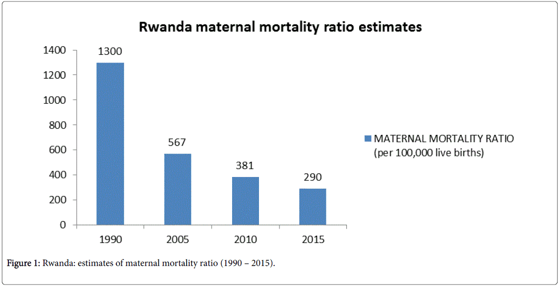 community-medicine-health-education-maternal-mortality