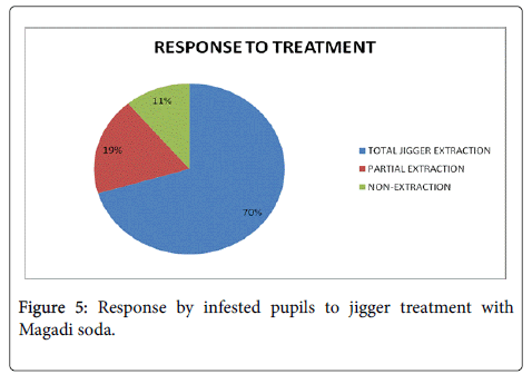community-medicine-health-infested-pupils-jigger