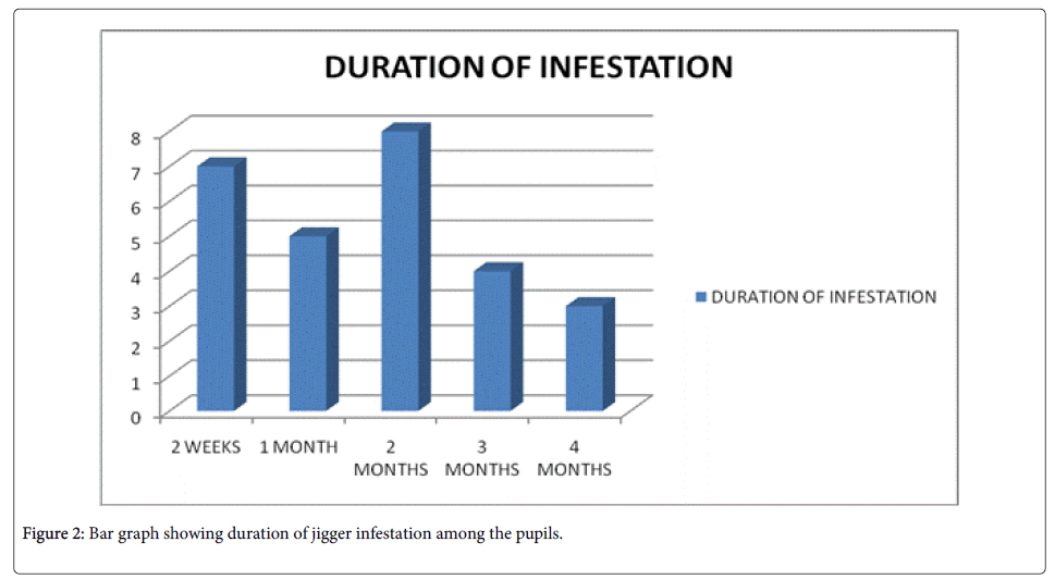 community-medicine-health-jigger-infestation
