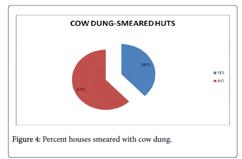community-medicine-health-smeared-cow-dung