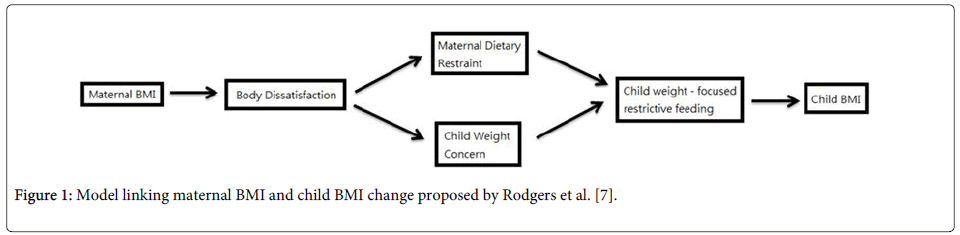 community-medicine-linking-maternal