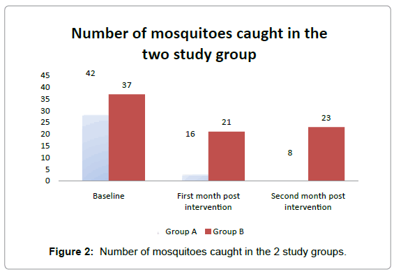 community-medicine-mosquitoes-caught