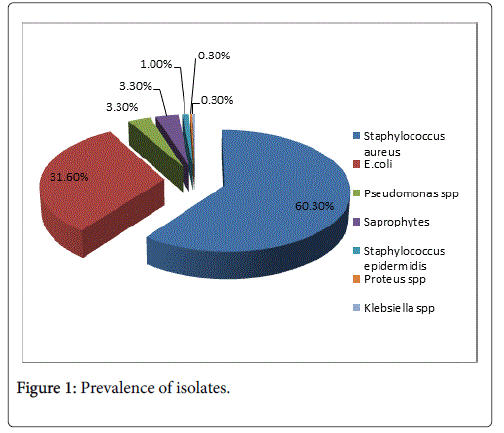 community-public-health-Prevalence-isolates