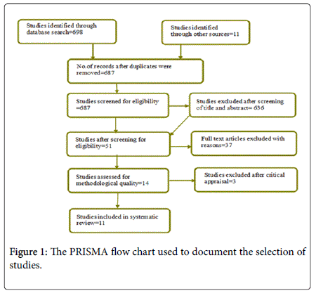 community-public-health-flow-chart