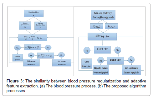 blood pressure mapping