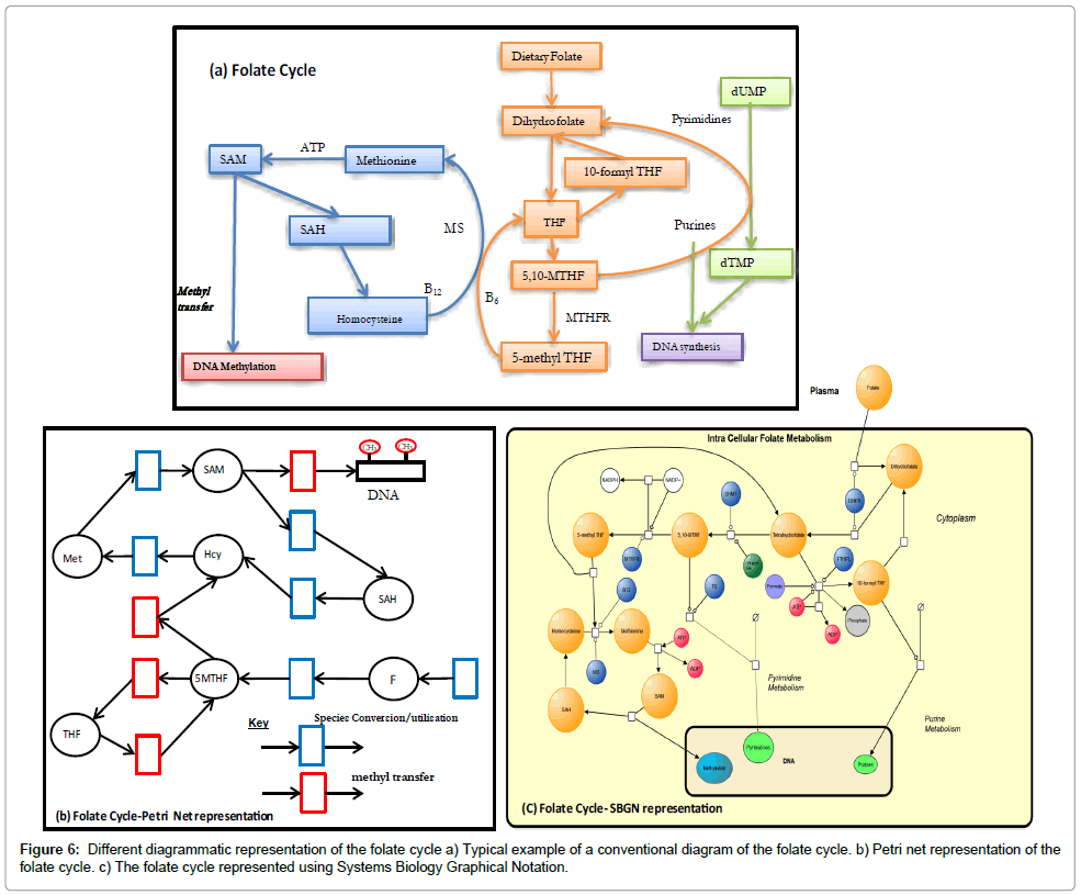 download introduction to compact