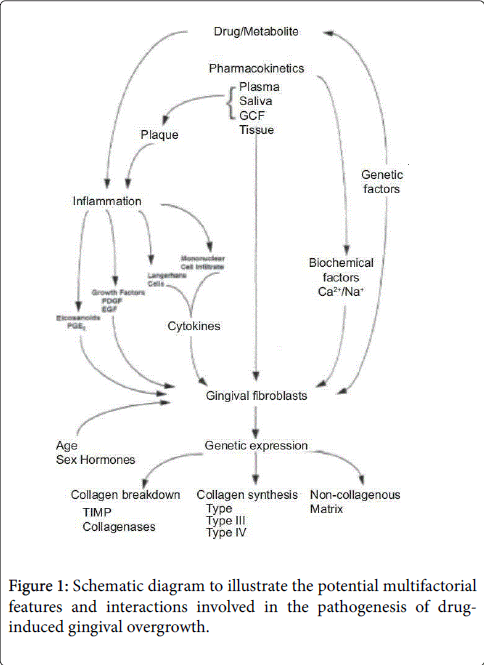 cosmetology-orofacial-surgery-Schematic-diagram