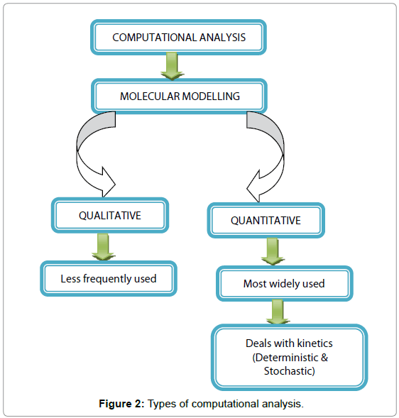 A Schematic Overview on Computational Methodologies for Designing ...