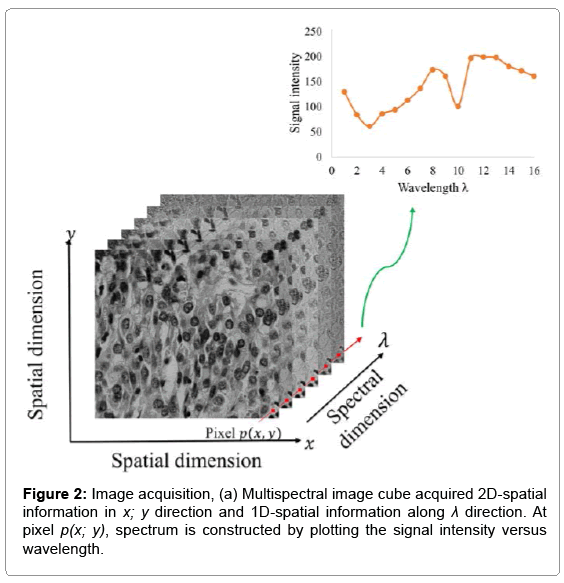 multispectral band analysis application on the classification of multispectral image