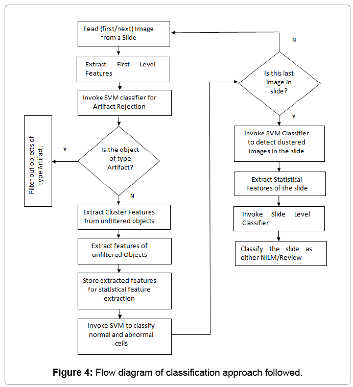cytology histology classification approach histology flow chart