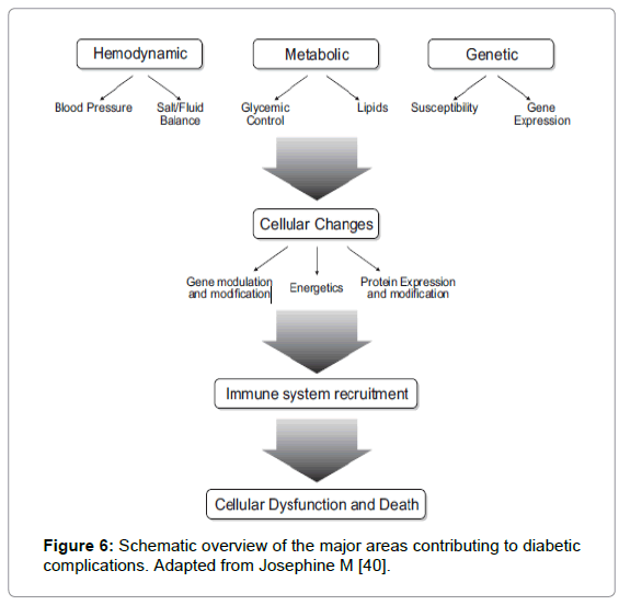 Pathophysiology Of Diabetes Mellitus In Flow Chart