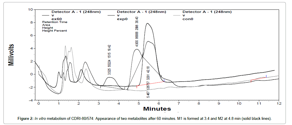 drug-metabolism-solid-black