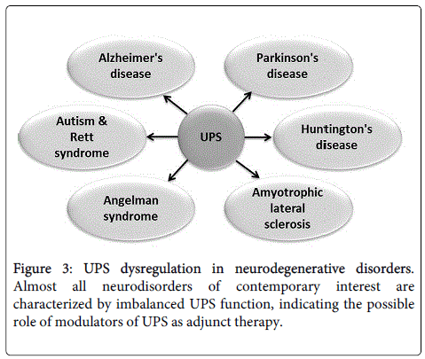 principles and practice of cancer