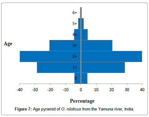 earth-science-climatic-change-Age-pyramid-Yamuna-river
