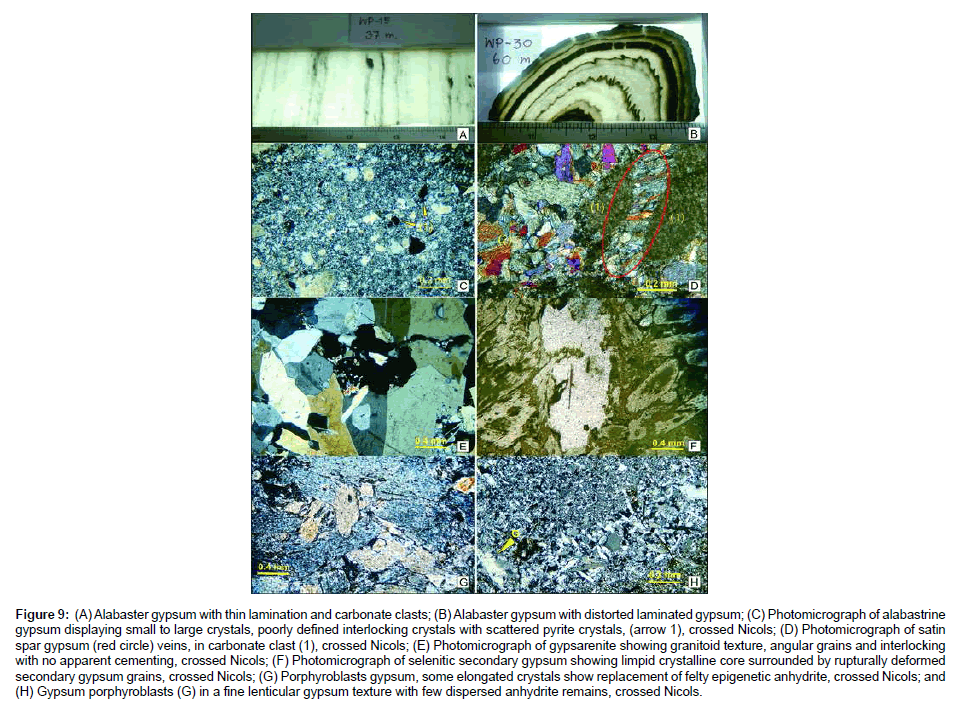 earth-science-climatic-change-Alabaster-gypsum