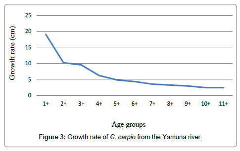 earth-science-climatic-change-Growth-rate-Carpio