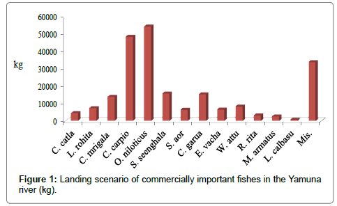 earth-science-climatic-change-Landing-scenario-commercially