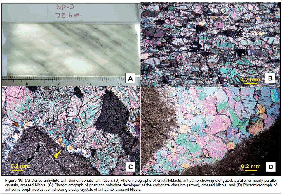earth-science-climatic-change-Photomicrographs-crystalloblastic