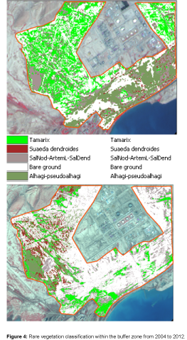 earth-science-climatic-change-Rare-vegetation