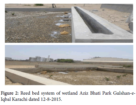 earth-science-climatic-change-Reed-bed-system