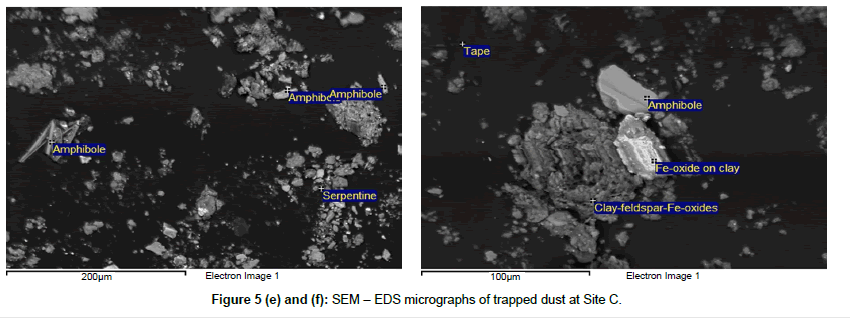 earth-science-climatic-change-SEM-EDS-micrographs