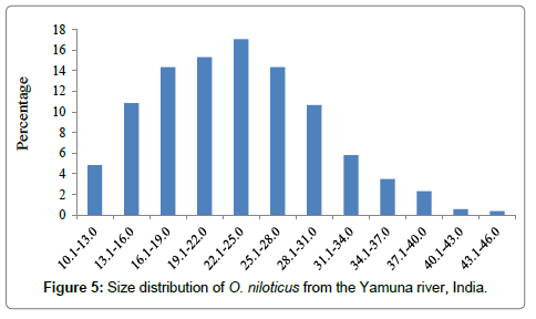 earth-science-climatic-change-Size-distribution-Yamuna-river