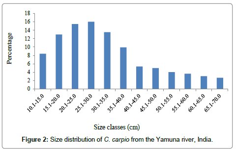 earth-science-climatic-change-Size-distribution-carpio