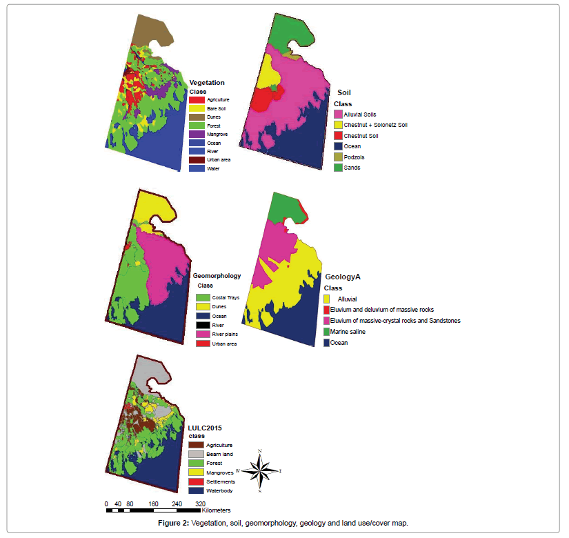 earth-science-climatic-change-Vegetation-soil-geomorphology