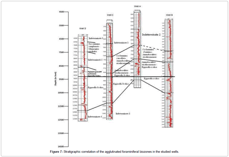 earth-science-climatic-change-agglutinated-foraminiferal-biozones