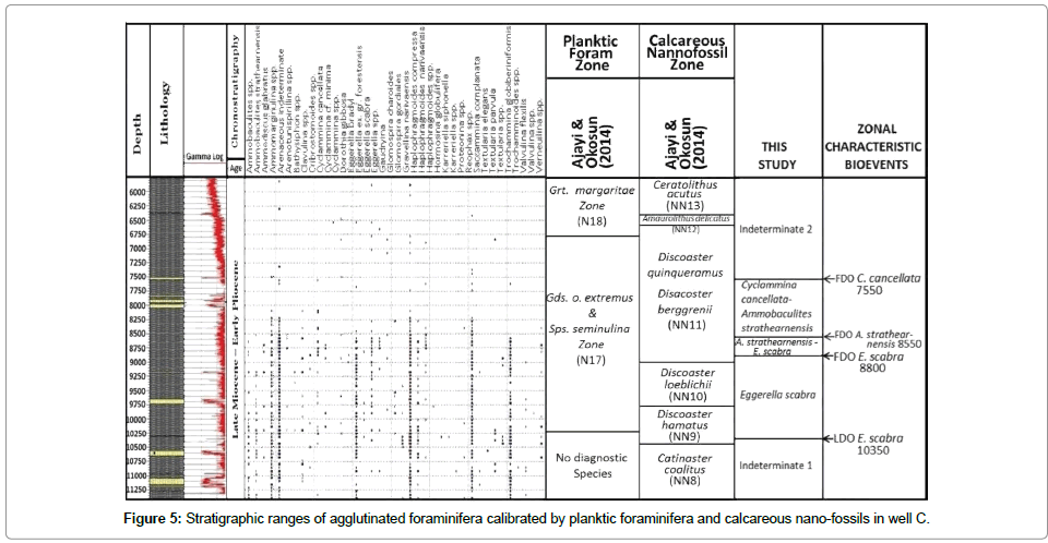 earth-science-climatic-change-calcareous-nano-fossils