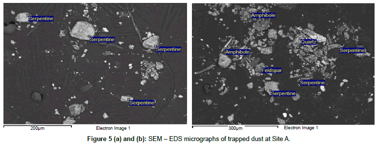 earth-science-climatic-change-micrographs-trapped
