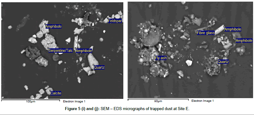 earth-science-climatic-change-micrographs-trapped-dust