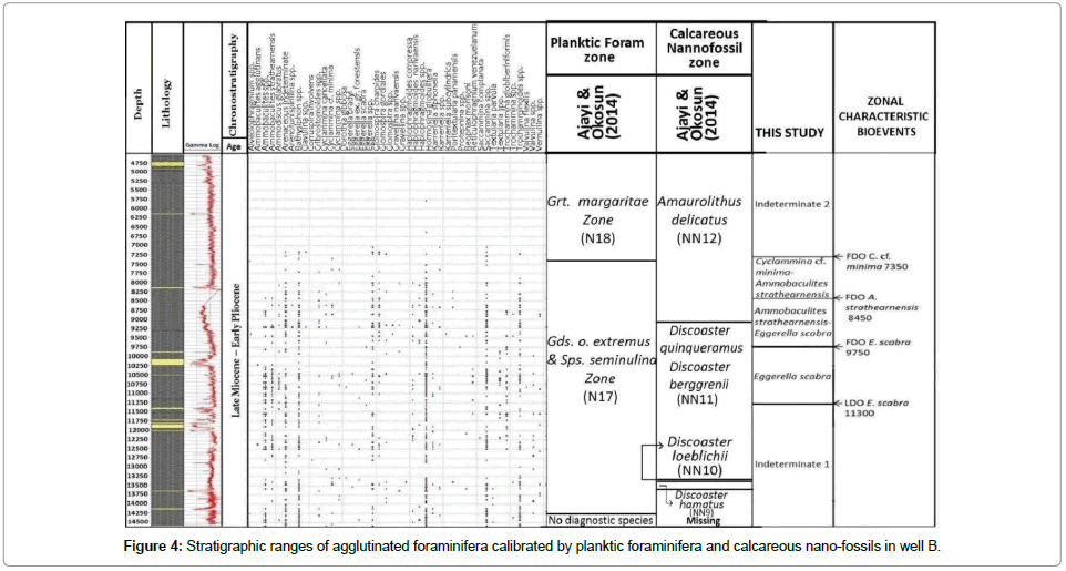 earth-science-climatic-change-planktic-foraminifera