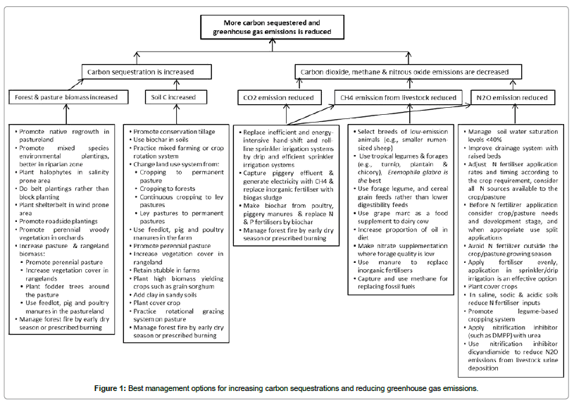 earth-science-climatic-change-reducing-greenhouse-gas