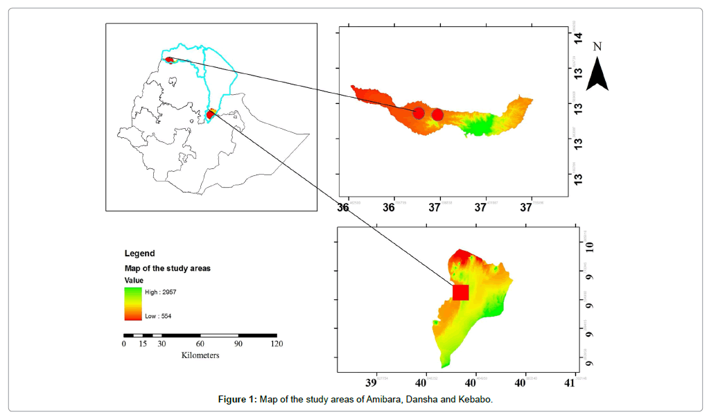 earth-science-climatic-change-study-areas-Amibara-Dansha-Kebabo