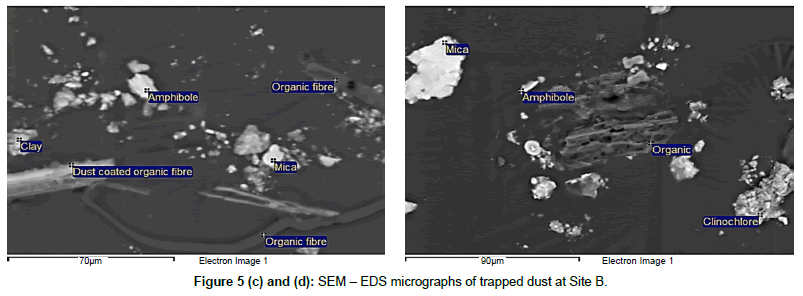 earth-science-climatic-change-trapped-dust-Site-B