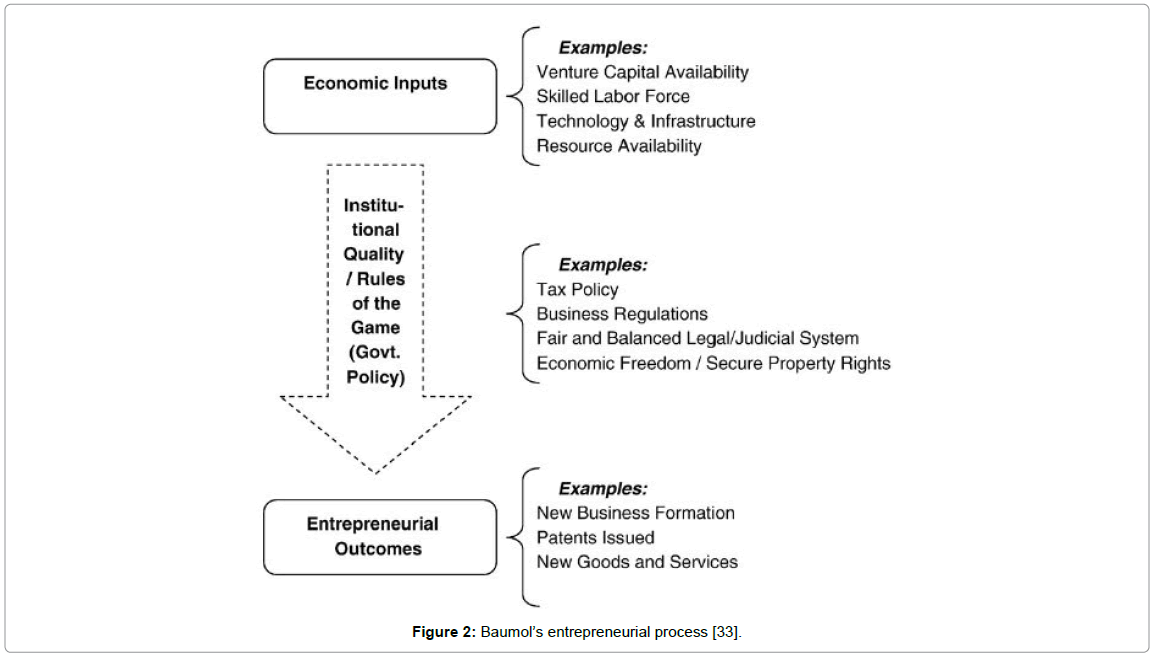 entrepreneurship innovation and public policy a survey of entrepreneurship examples