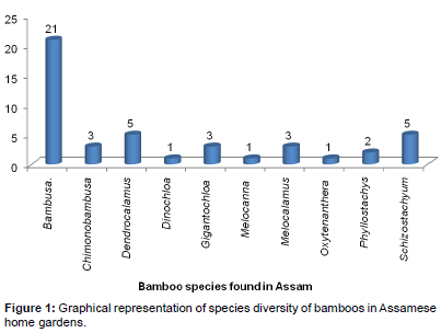 ecosystem-ecography-Assamese-homegardens