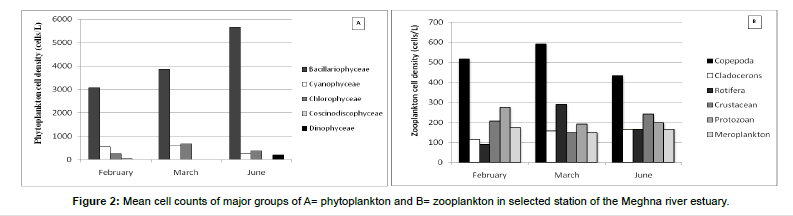 ecosystem-ecography-Meghna-river-estuary