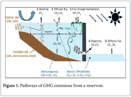 ecosystem-ecography-Pathways-GHG-emissions