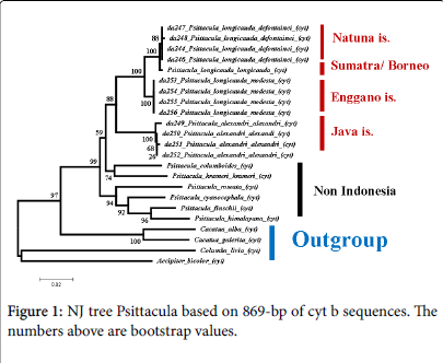 ecosystem-ecography-Synthetic-pathway