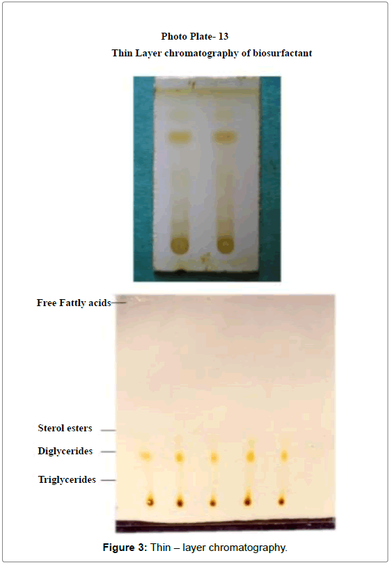 ecosystem-ecography-Thin-layer-chromatography