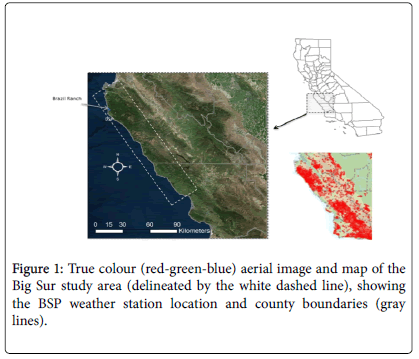 ecosystem-ecography-True-colour-aerial-image-map