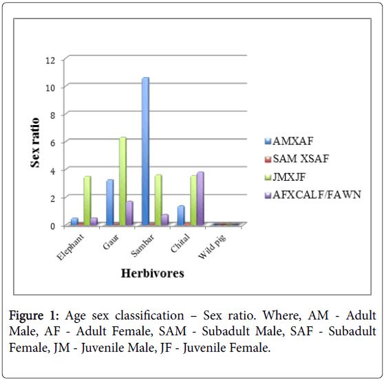 ecosystem-ecography-age-sex-classification