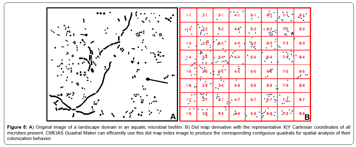 ecosystem-ecography-aquatic-microbial-biofilm