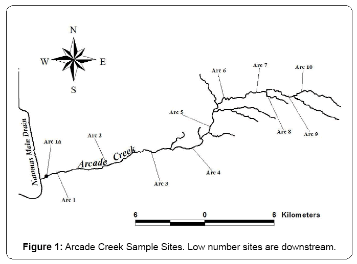 ecosystem-ecography-arcade-creek-sample
