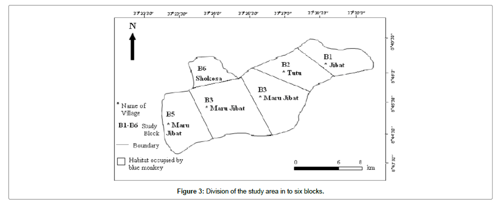 ecosystem-ecography-area