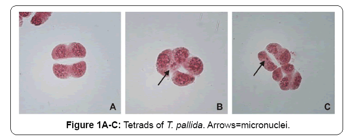 ecosystem-ecography-arrows-micronuclei