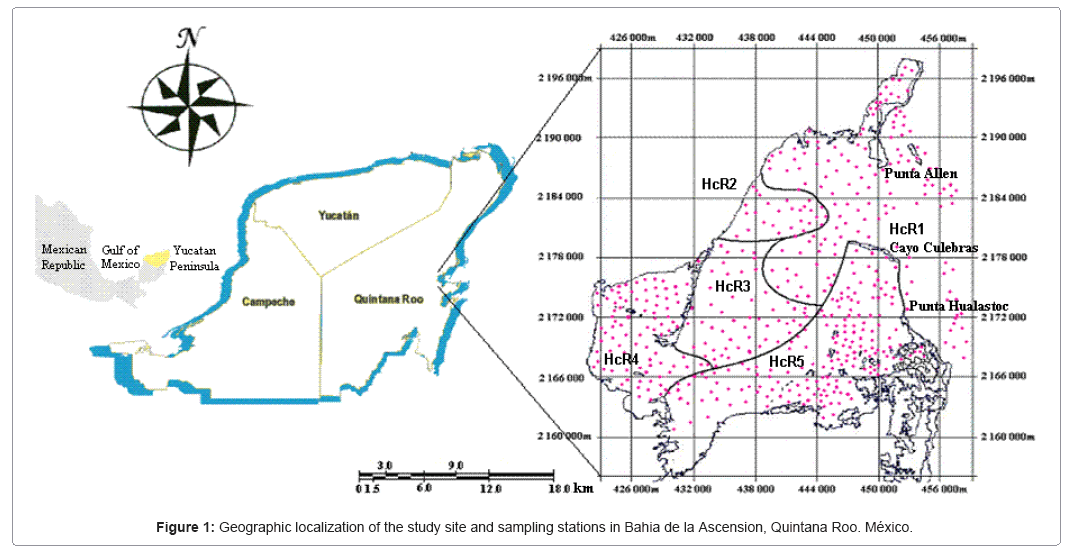 ecosystem-ecography-bahia-de-la-ascension